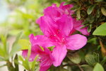 Fr - (5)
