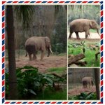 421015_10150733803296963_348318095_n