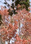 IMG_9860-2