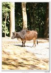 IMG_9864-1
