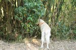 IMG_9884-1