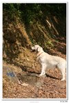 IMG_9890-1