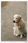 IMG_9899-1