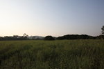 IMG_8474