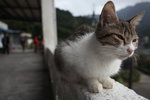 IMG_2405