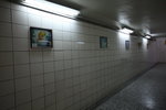IMG_7220