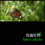 IMG_4194c