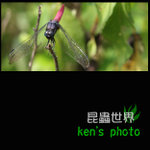 IMG_4203 copy