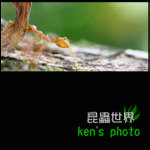 IMG_4230c