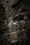 IMG_5259