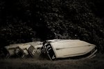 IMG_5297