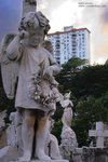 IMG_3537