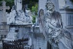 IMG_3553