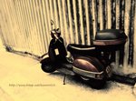 DSCF5675