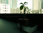 DSCF5853