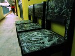 DSCF6024