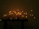DSCF6045