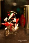DP_73
