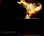 DP_75