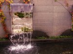 DSCF5085
