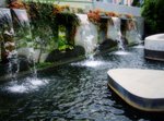 DSCF5088
