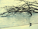 DSCF5098