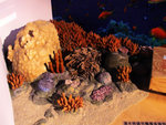DSCF5131