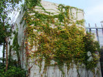 DSCF5138