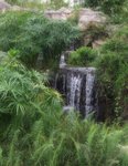 DSCF5160