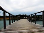 DSCF5230