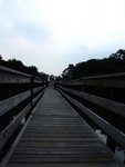 DSCF5280