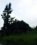 DSCF5297