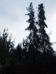 DSCF5299