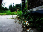 DSCF5322