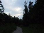 DSCF5324