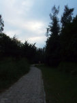 DSCF5325