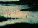DSCF5336