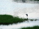 DSCF5337