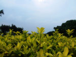 DSCF5369