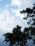 DSCF5375