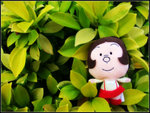 DSCF5376