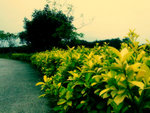 DSCF5383