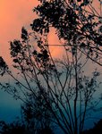 DSCF5395