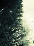 DSCF5402