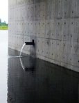 DSCF5446