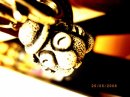 s830920897_976156_4462