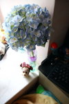 DP_47