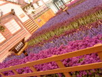 DSC00825
