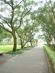 DSCN4460