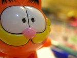 DSCN5029
